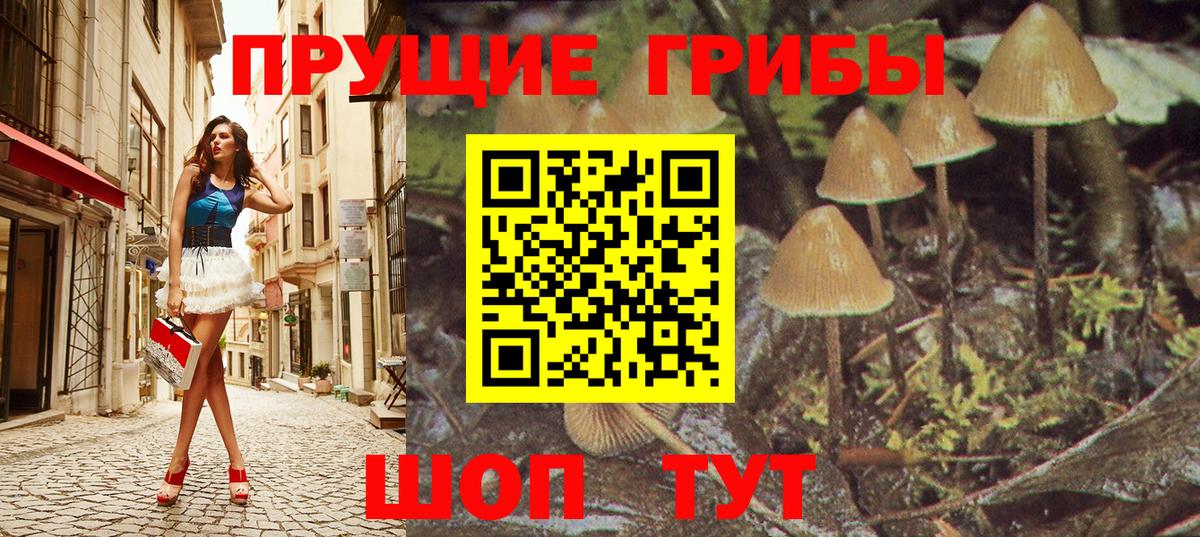 Псилоцибиновые грибы мицелий  Галлюциногенные грибы прущие грибы  Вход с VPN  Каменск-Шахтинский 